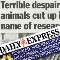 Daily Express cutting