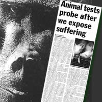 Cutting from the Daily Express